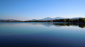 Responsive image